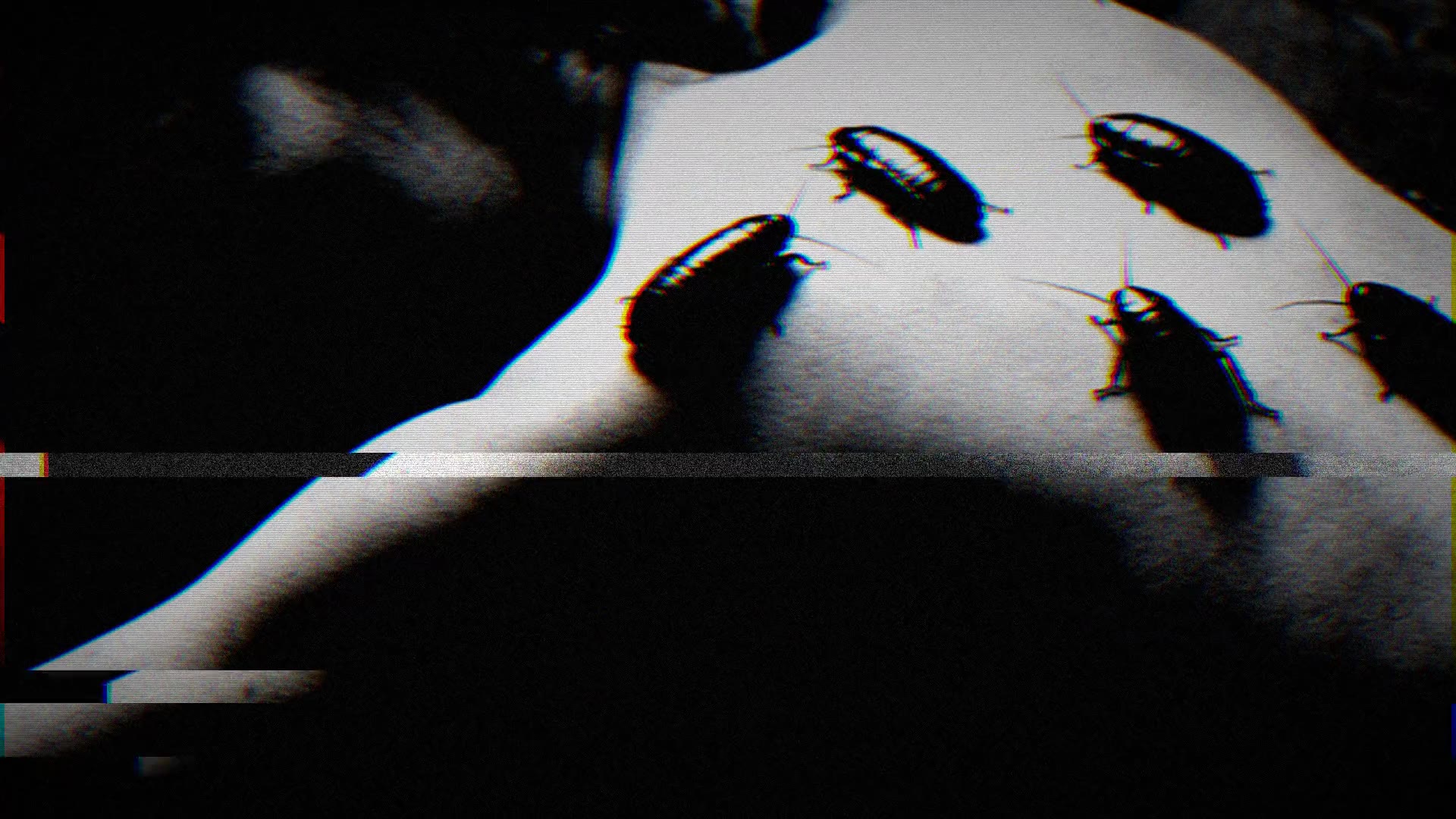 FREAK DESIRE — VISUAL 46s